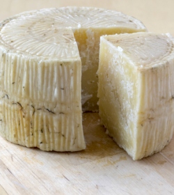 Pecorino – tradičný taliansky ovčí syr